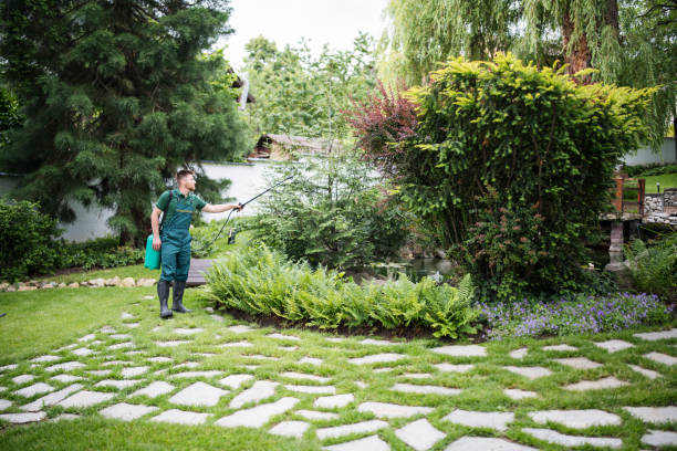 Best Ant Control Services  in Delaware, OH