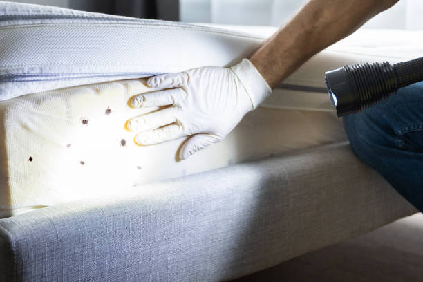 Best Wildlife Control Services  in Delaware, OH