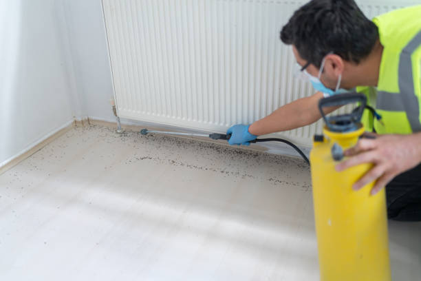 Best Residential Pest Control  in Delaware, OH