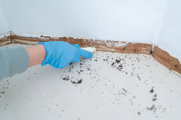 Best Rat Extermination Near Me  in Delaware, OH